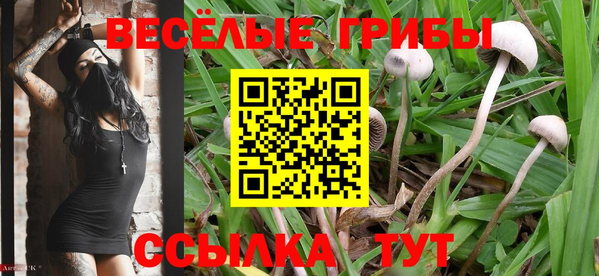Галлюциногенные грибы мицелий Луховицы