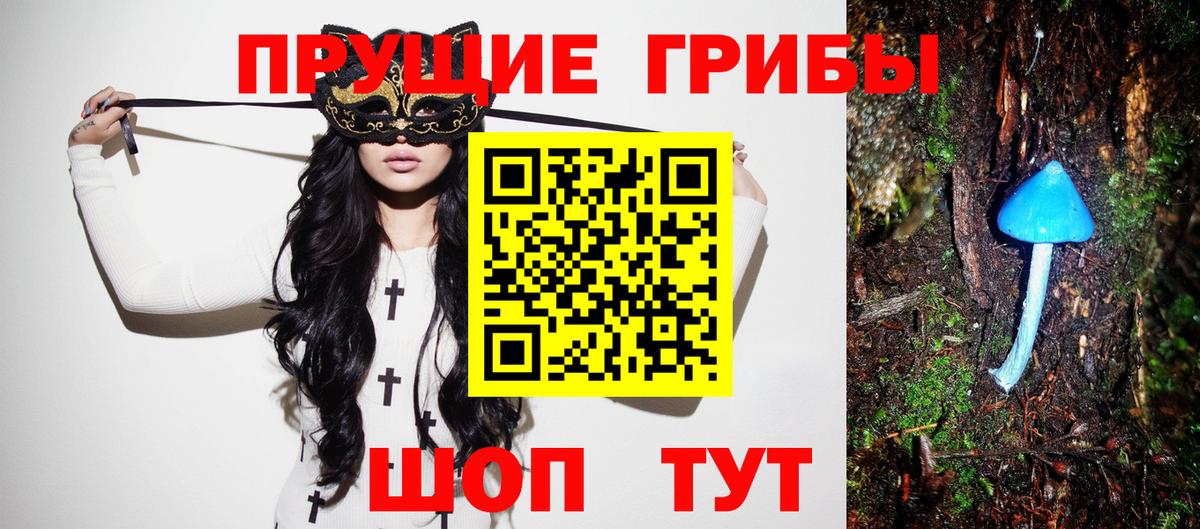Псилоцибиновые грибы Cubensis  Псилоцибиновые грибы GOLDEN TEACHER  Луховицы  Вход с VPN 